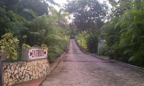 moteles en isabela|Motel Tropical .